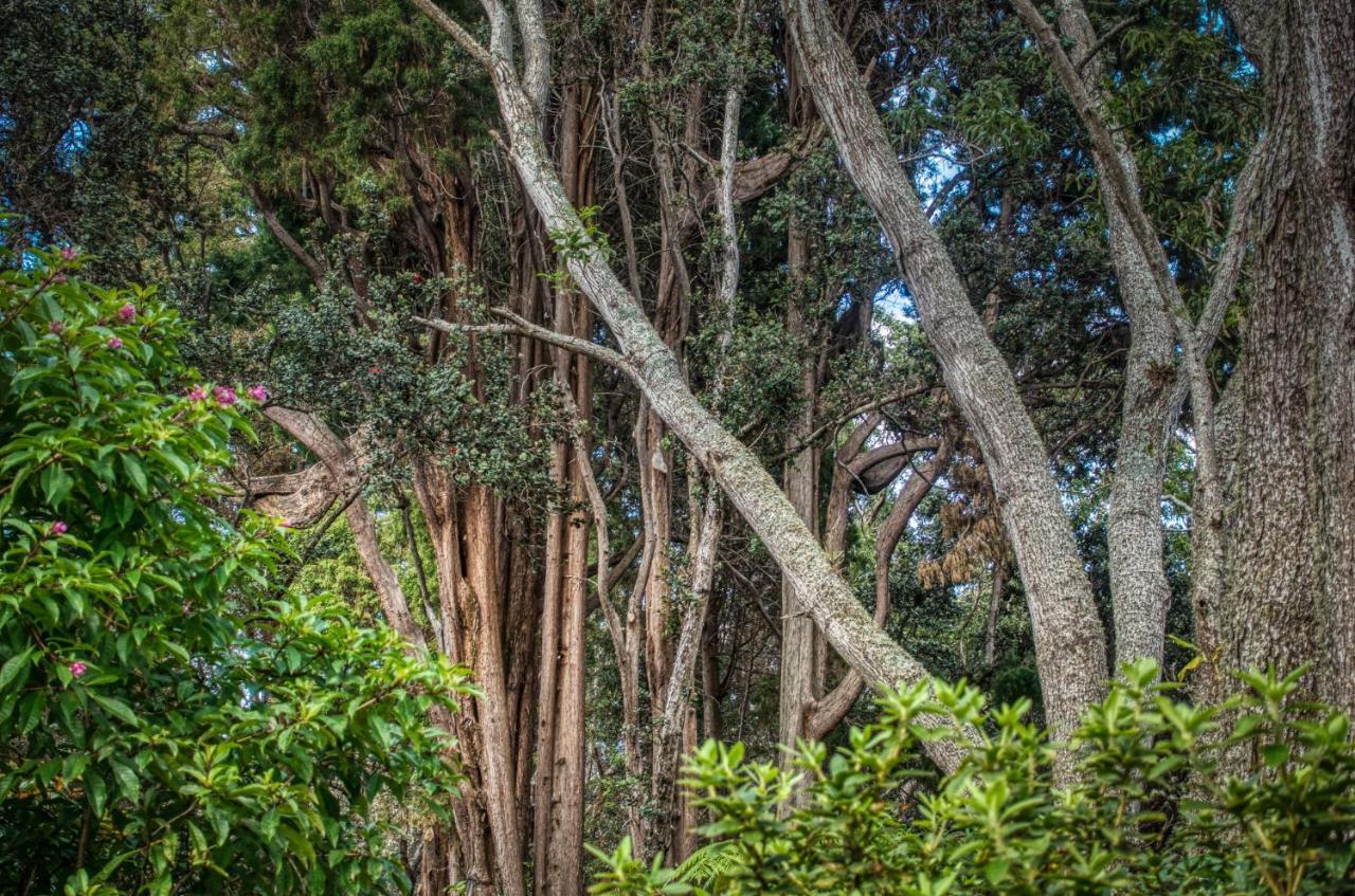 Crater Rim Cabin Volcano Ngoại thất bức ảnh