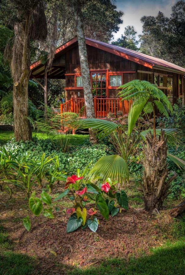 Crater Rim Cabin Volcano Ngoại thất bức ảnh